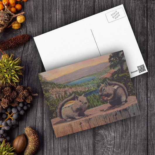 Vintage Eichhörnchengebirgslandschaft Postkarte