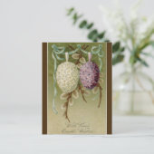 Vintage Eier aus Flora Postkarte (Stehend Vorderseite)