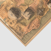 Vintage, einzigartige, restaurierte kalifornische seidenpapier (Detail)