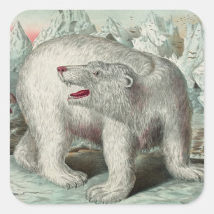 Vintage-Eisbar auf Eisberg-Winterillustration Quadratischer Aufkleber