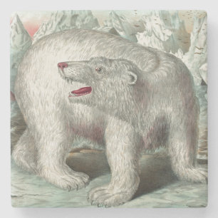 Vintage-Eisbergbär-Winterillustration Steinuntersetzer