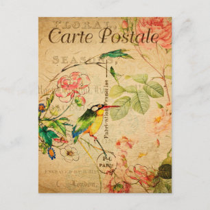 Vintage Eisvogel Vogel Floral Blumen Französisch Postkarte