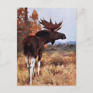 Vintage Elch-Malerei Postkarte