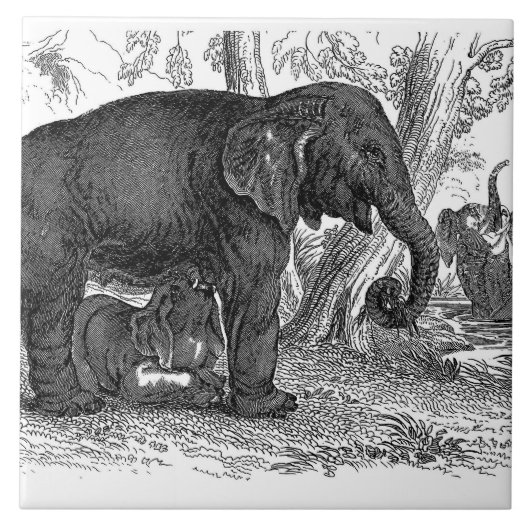 Vintage Elefant Heim Bürodekor Fliese (Vorderseite)