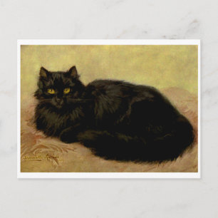 Vintage eleganter schwarzer persischer Katzenportr Postkarte