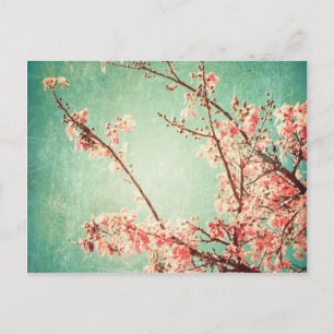 Vintage elegantes abgetragenes teal Holz & Kirschb Postkarte