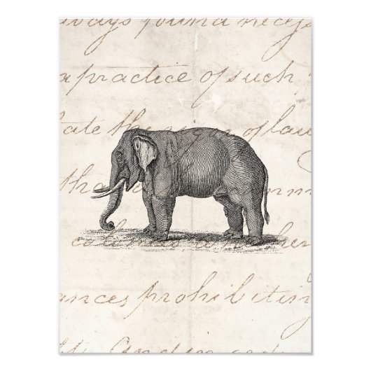 Vintage Elephant Illustration der 1800er Jahre - E Fotodruck (Vorne)