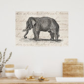 Vintage Elephant Illustration der 1800er Jahre - E Poster (Küche)