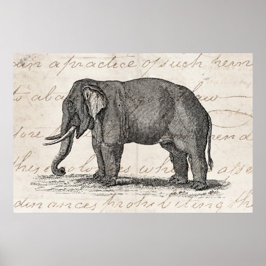 Vintage Elephant Illustration der 1800er Jahre - E Poster (Vorne)