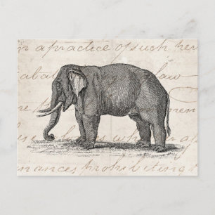 Vintage Elephant Illustration der 1800er Jahre - E Postkarte