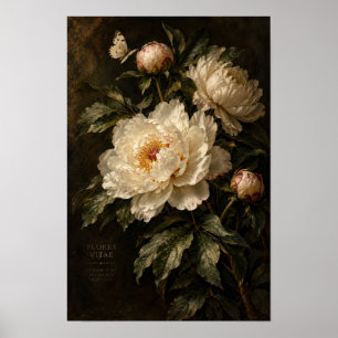 Vintage Elfenbein-Pfingstrose Dunkle Florale Wandk Poster