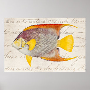 Vintage Engel-Fisch Antikes Hawaiianisches Druckte Poster