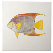 Vintage Engels-Fisch-Antiken-hawaiische Fliese (Vorderseite)