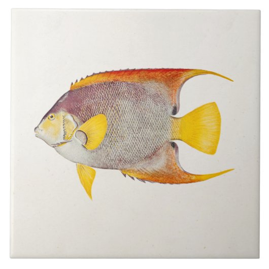 Vintage Engels-Fisch-Antiken-hawaiische Fliese (Vorderseite)