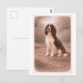 Vintage-Englischer Springer Spaniel Postkarte (Vorne/Hinten)