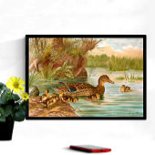 Vintage Enten am Teich 2 Poster