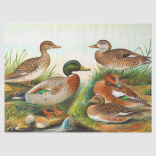 Vintage Enten am Teich 3 Decoupage Seidenpapier