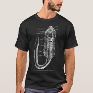 Vintage Entomologie Erdwurmanatomie T-Shirt