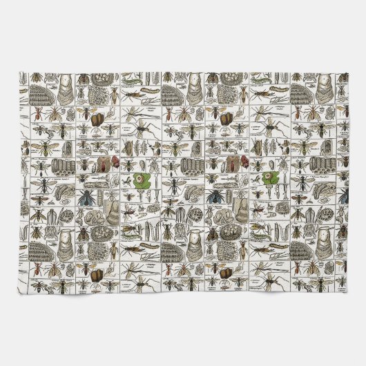 Vintage Entomologie Handtuch (Horizontal)
