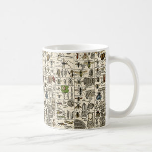 Vintage Entomologie Kaffeetasse