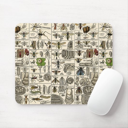 Vintage Entomologie Mousepad (Mit Mouse)