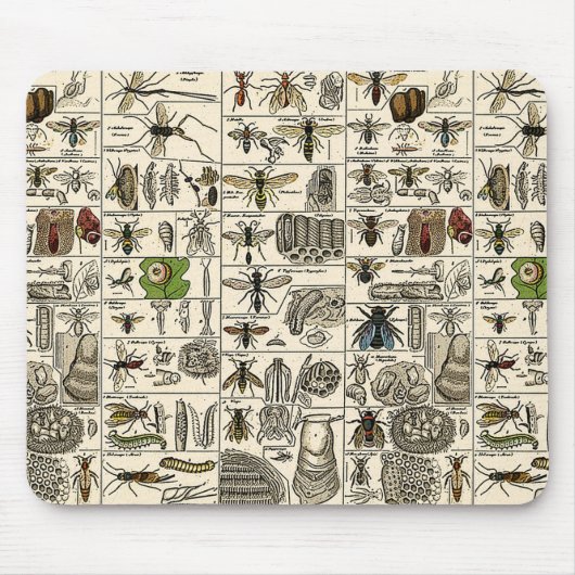 Vintage Entomologie Mousepad (Vorne)