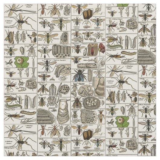 Vintage Entomologie Stoff (Nahaufnahme)