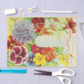 Vintage Entwürfe von Saatgutverpackungen Seidenpapier (Handwerk)