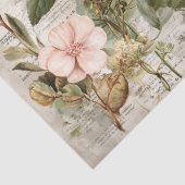 Vintage-Ephemera-Botanik-Collage Seidenpapier (Detail)