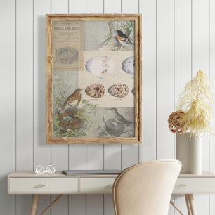 Vintage Ephemera Eggs Bird Nest Script Decoupage 1 Seidenpapier