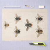 Vintage Ephemera Script Bee Decoupage Seidenpapier (Handwerk)