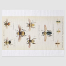 Vintage-Ephemera-Script-Biene-Decoupage