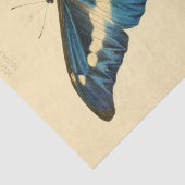 Vintage Ephemera Script Blue Butterfly Decoupage Seidenpapier (Detail)