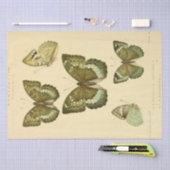 Vintage Ephemera Script Green Butterfly Decoupage Seidenpapier (Handwerk)