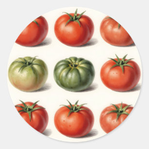 Vintage-Erbstück-Tomaten-Sorte-Botanikraster Runder Aufkleber