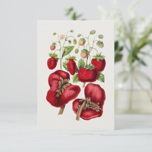 Vintage Erdbeere Einladung (Stehend Vorderseite)