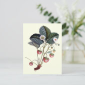 Vintage Erdbeere Frucht Pflanze mit Blätter Postkarte (Stehend Vorderseite)