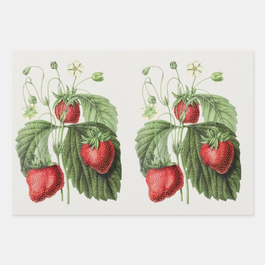 Vintage Erdbeere Geschenkpapier Set (Vorderseite 2)