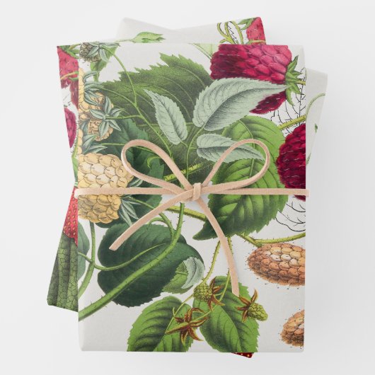 Vintage Erdbeere Geschenkpapier Set (Beispiel)