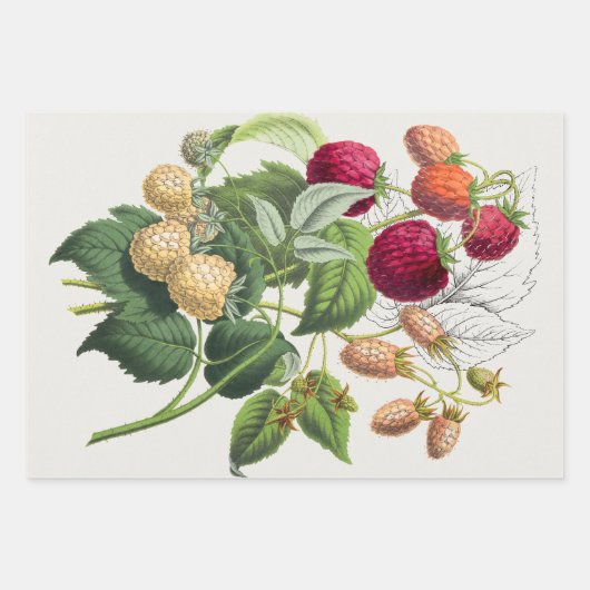 Vintage Erdbeere Geschenkpapier Set (Vorderseite)