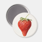 Vintage Erdbeere Magnet (Vorderseite/Rückseite)