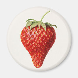 Vintage Erdbeere Magnet