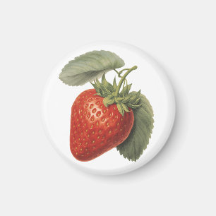 Vintage Erdbeere Magnet