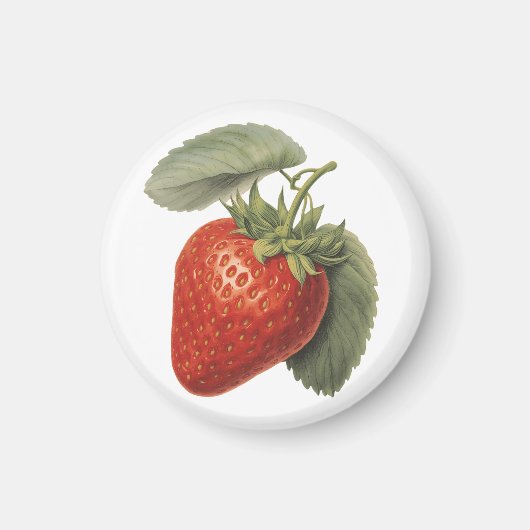 Vintage Erdbeere Magnet (Vorne)