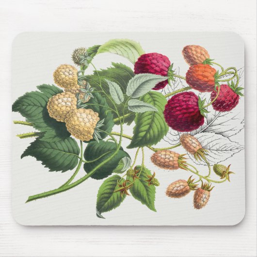 Vintage Erdbeere Mousepad (Vorne)