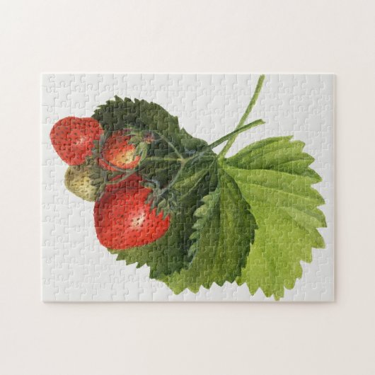 Vintage Erdbeere Puzzle (Horizontal)
