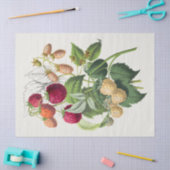 Vintage Erdbeere Seidenpapier (Basteln)