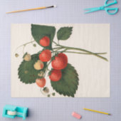 Vintage Erdbeere Seidenpapier (Basteln)