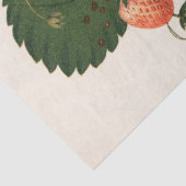 Vintage Erdbeere Seidenpapier (Detail)