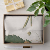 Vintage Erdbeere Seidenpapier (Geschenk)